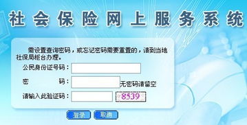 東莞社保個人賬戶查詢與社會經(jīng)濟咨詢服務指南