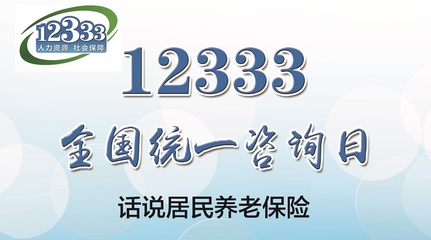12333全國(guó)統(tǒng)一咨詢(xún)?nèi)?詳解淄博市居民養(yǎng)老保險(xiǎn)，社會(huì)經(jīng)濟(jì)咨詢(xún)服務(wù)在身邊